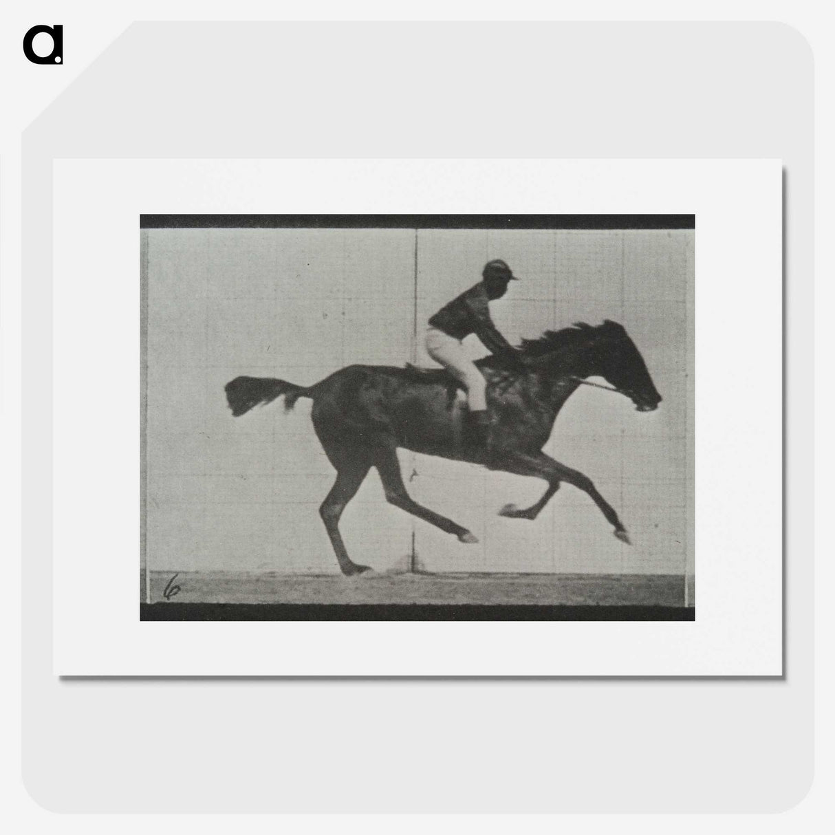3-44_Eadweard-Muybridge_picture