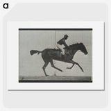 3-44_Eadweard-Muybridge_picture
