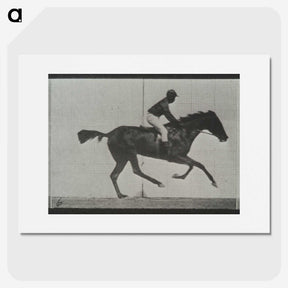 3-44_Eadweard-Muybridge_picture
