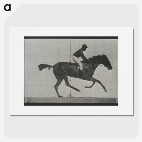 3-44_Eadweard-Muybridge_picture