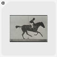 3-44_Eadweard-Muybridge_postcard