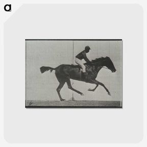 3-44_Eadweard-Muybridge_postcard