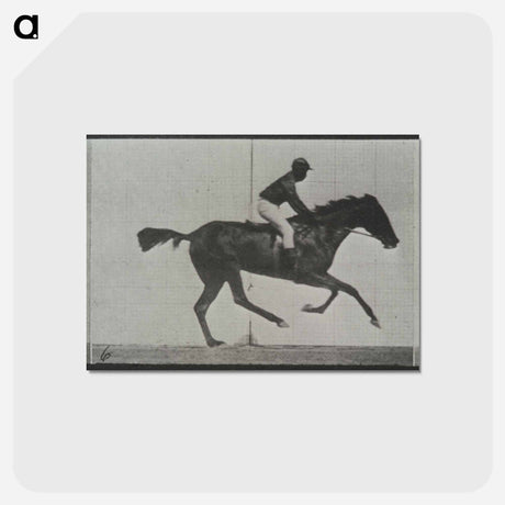 アートポストカード-Galloping Horse and Rider
 - エドワード マイブリッジ Postcard.