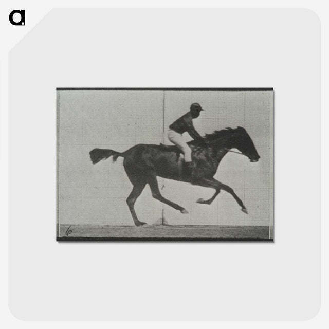 3-44_Eadweard-Muybridge_postcard