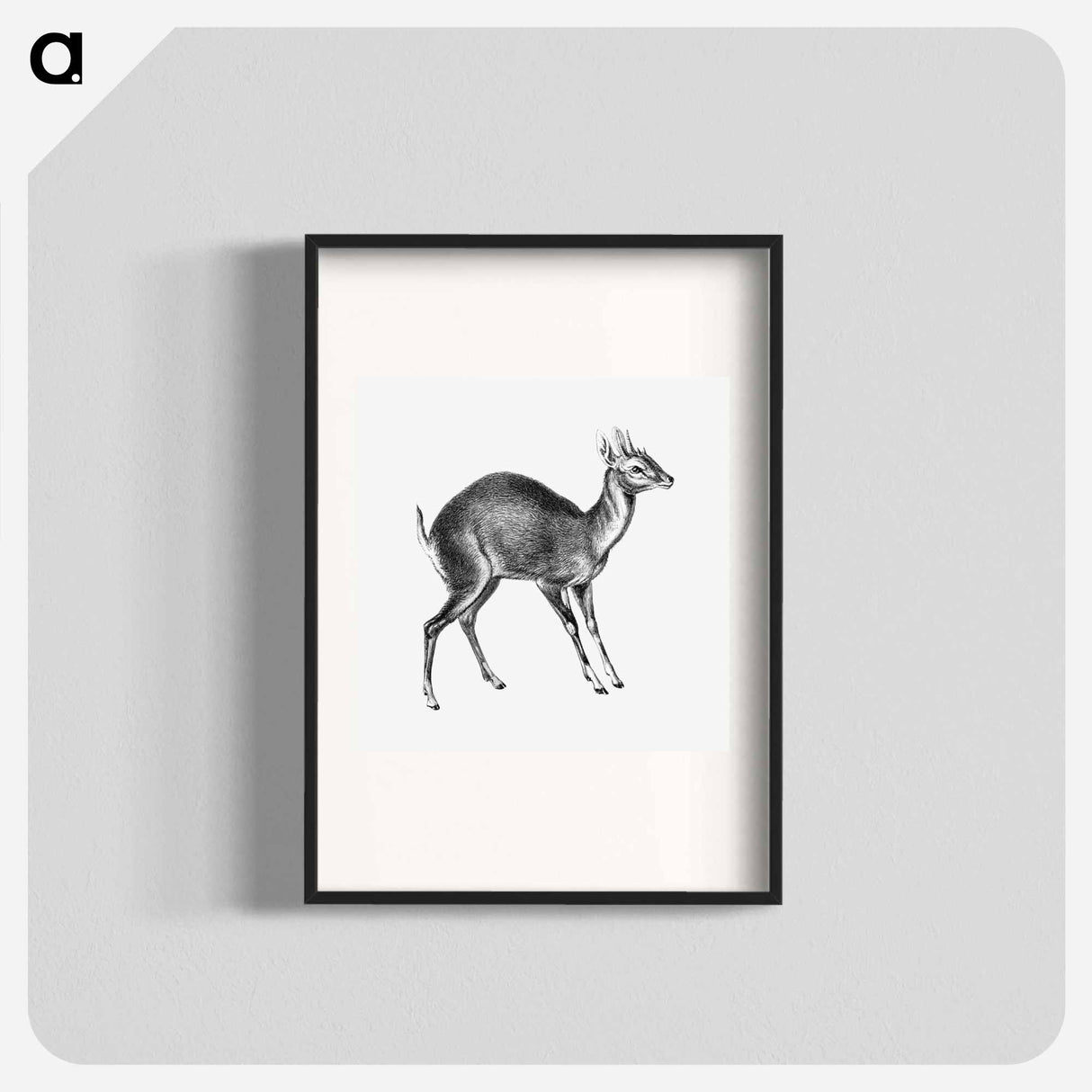 Vintage antelope wildlife illustration - エルンスト ヘッケル Poster.