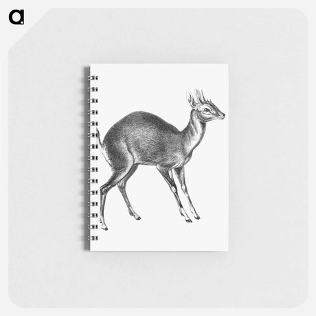 アートメモ帳-Vintage antelope wildlife illustration - エルンスト ヘッケル Memo.