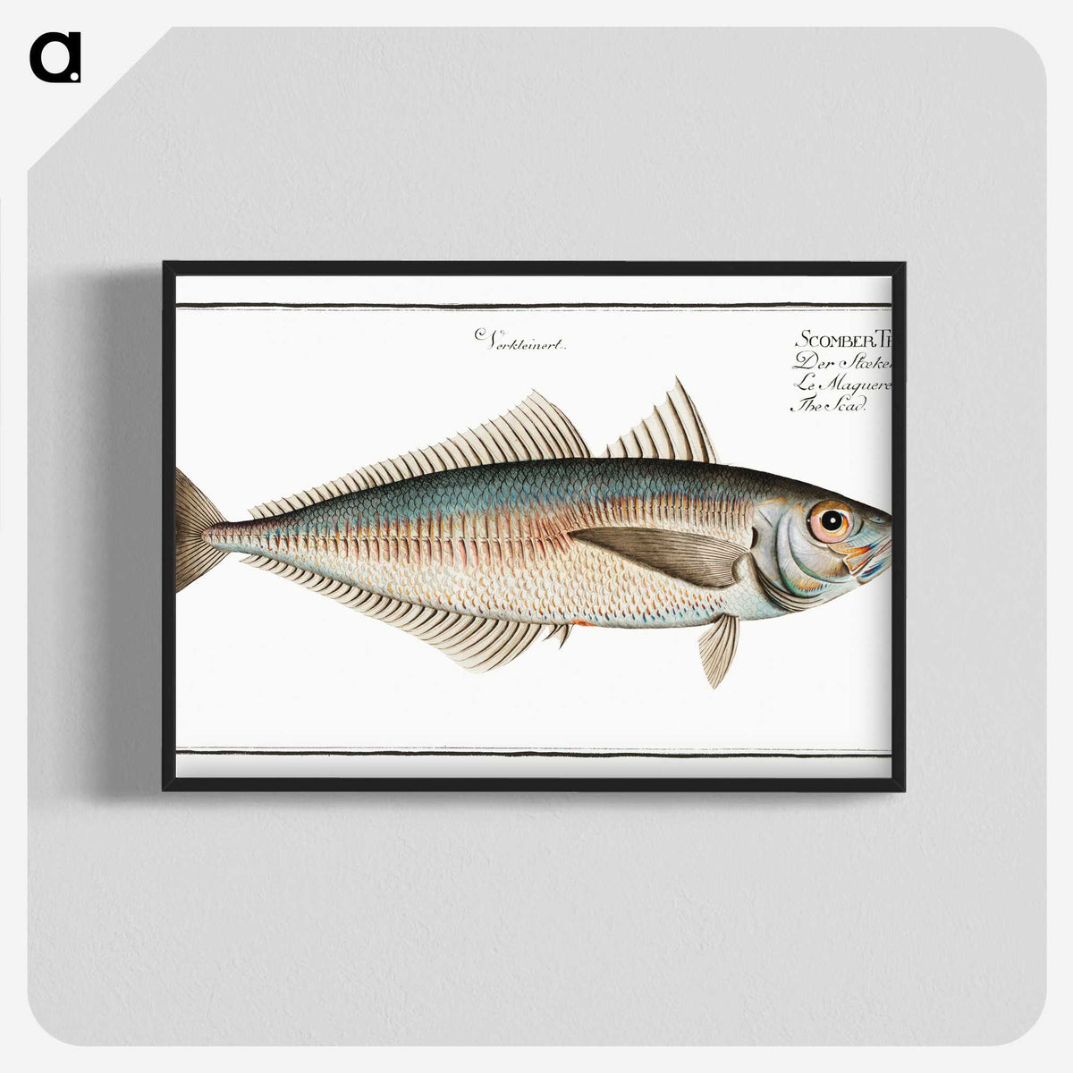 3-44_Ichtyologie-ou-Histoire-naturelle_blk-crop