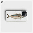 3-44_Ichtyologie-ou-Histoire-naturelle_phone