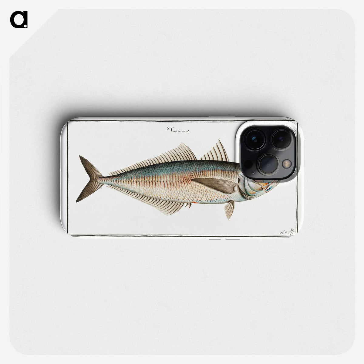 3-44_Ichtyologie-ou-Histoire-naturelle_phone