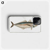3-44_Ichtyologie-ou-Histoire-naturelle_phone
