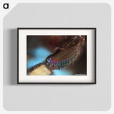 3-44_Insects-Unlocked-Project_blk