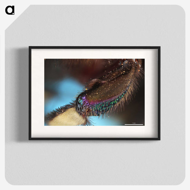 3-44_Insects-Unlocked-Project_blk