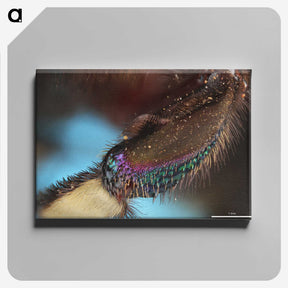 3-44_Insects-Unlocked-Project_canvas