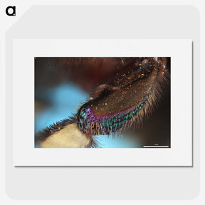 3-44_Insects-Unlocked-Project_picture
