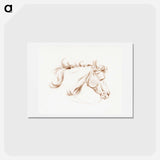 アートポストカード-Head of a horse with blinkers - ジャン ベルナール Postcard.