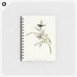 3-44_John-Gould_memo