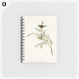 3-44_John-Gould_memo