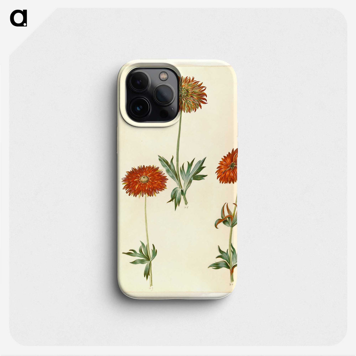 3-44_Maria-Sibylla-Merian_phone