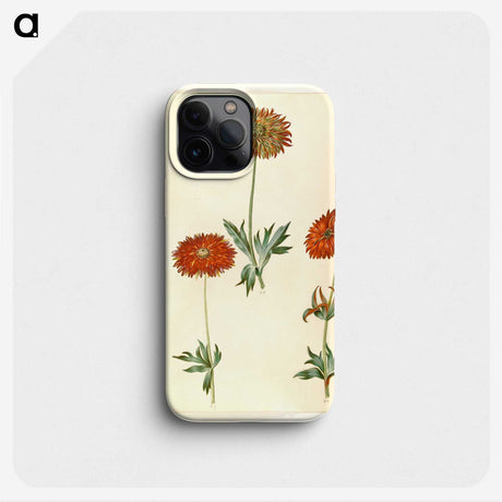 3-44_Maria-Sibylla-Merian_phone