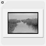 3-44_Marion-Post-Wolcott_picture