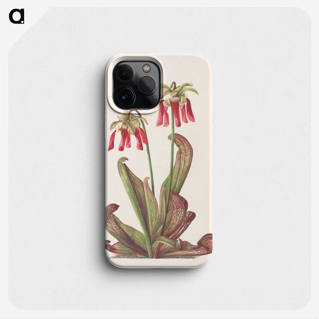 3-44_Mary-Vaux-Walcott_phone