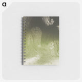 3-44_Odilon-Redon_memo