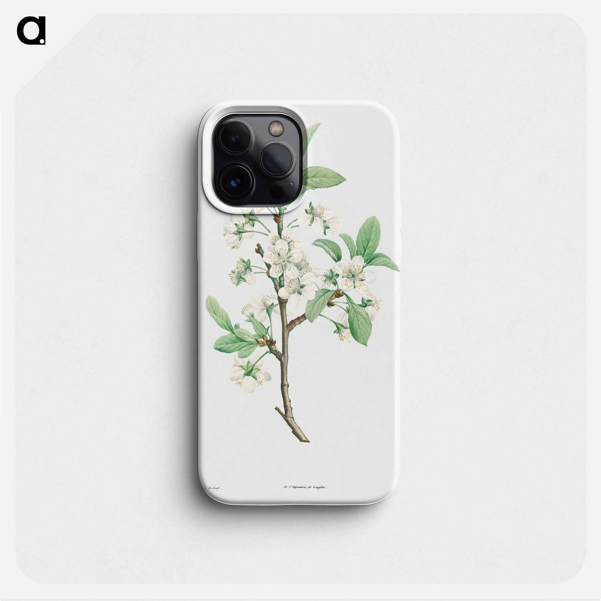 Plum Flower - ピエール ジョゼフ ルドゥーテ Phone Case.