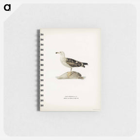 アートメモ帳-Great Black-Backed Gull
 - スヴェンスカ フォグラル Memo.