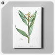 3-44_The-Lilies_canvas