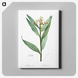 3-44_The-Lilies_canvas