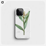 3-44_The-Lilies_phone