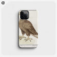3-45_Anselmus-Boetius-de-Boodt_phone