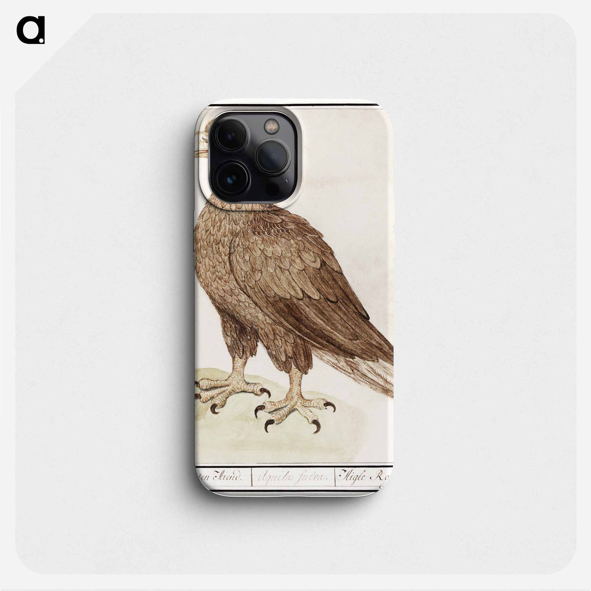 White-tailed eagle - アンセルムス ボエティウス デ ブート Phone Case.