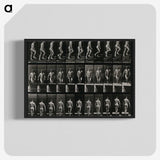 3-45_Eadweard-Muybridge_blk-crop