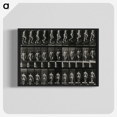 3-45_Eadweard-Muybridge_blk-crop