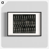 3-45_Eadweard-Muybridge_blk