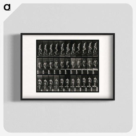 3-45_Eadweard-Muybridge_blk