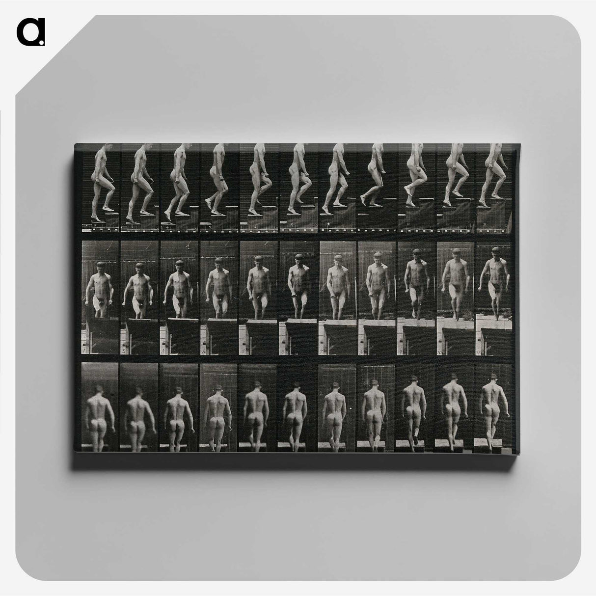 3-45_Eadweard-Muybridge_canvas