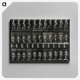 3-45_Eadweard-Muybridge_canvas