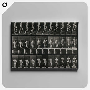 3-45_Eadweard-Muybridge_canvas
