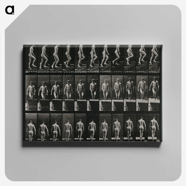 3-45_Eadweard-Muybridge_canvas