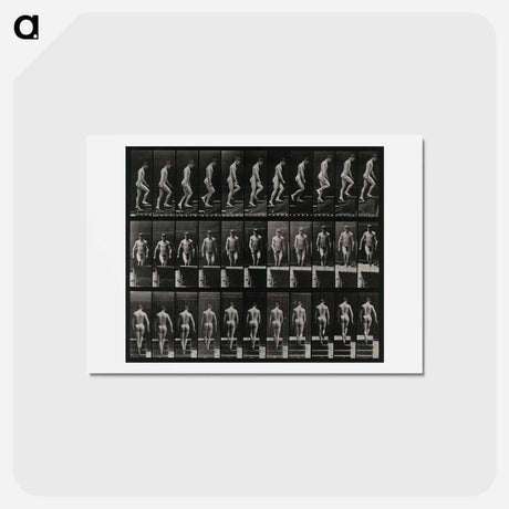 アートポストカード-Ascending
 - エドワード マイブリッジ Postcard.