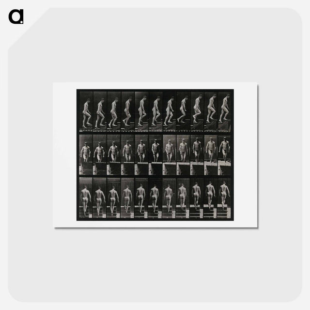 アートポストカード-Ascending
 - エドワード マイブリッジ Postcard.