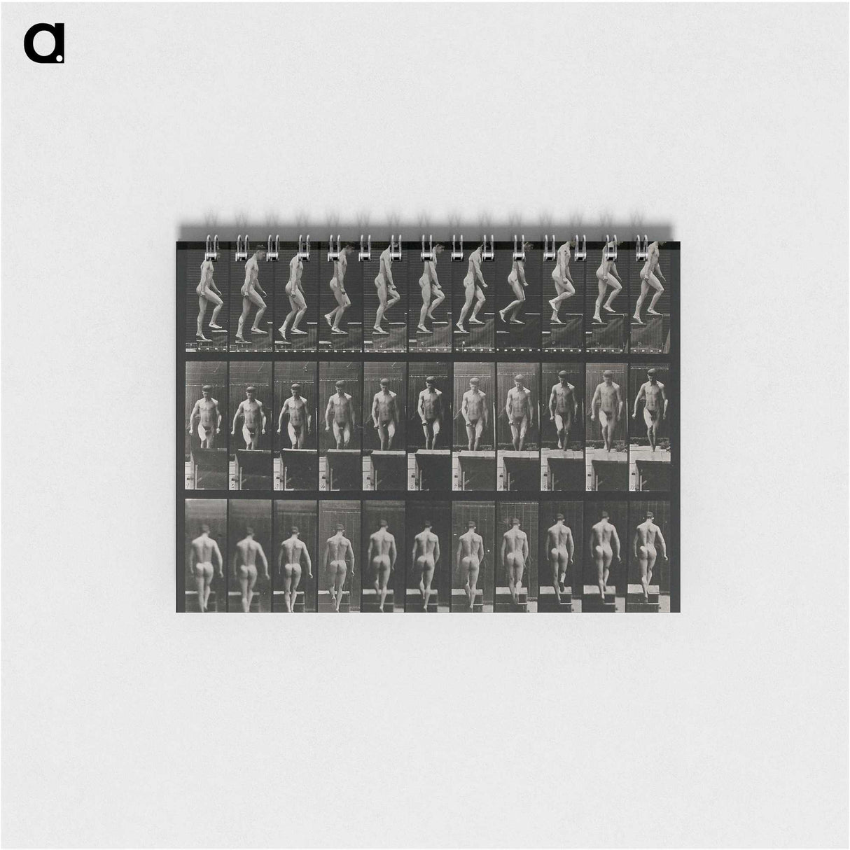 3-45_Eadweard-Muybridge_memo