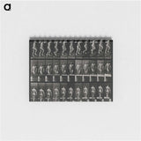 3-45_Eadweard-Muybridge_memo