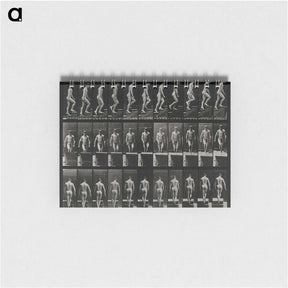 3-45_Eadweard-Muybridge_memo