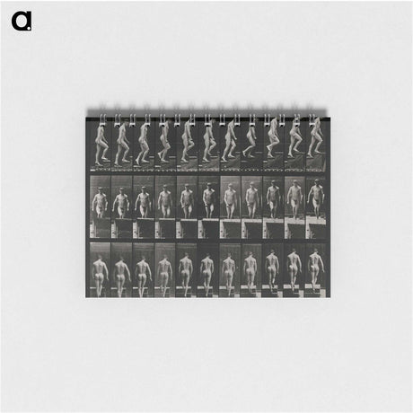 3-45_Eadweard-Muybridge_memo