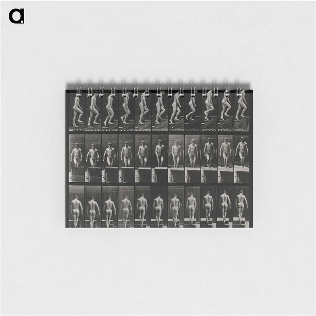 3-45_Eadweard-Muybridge_memo