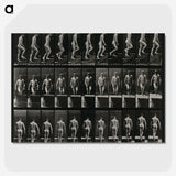3-45_Eadweard-Muybridge_picture-crop