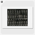 3-45_Eadweard-Muybridge_picture